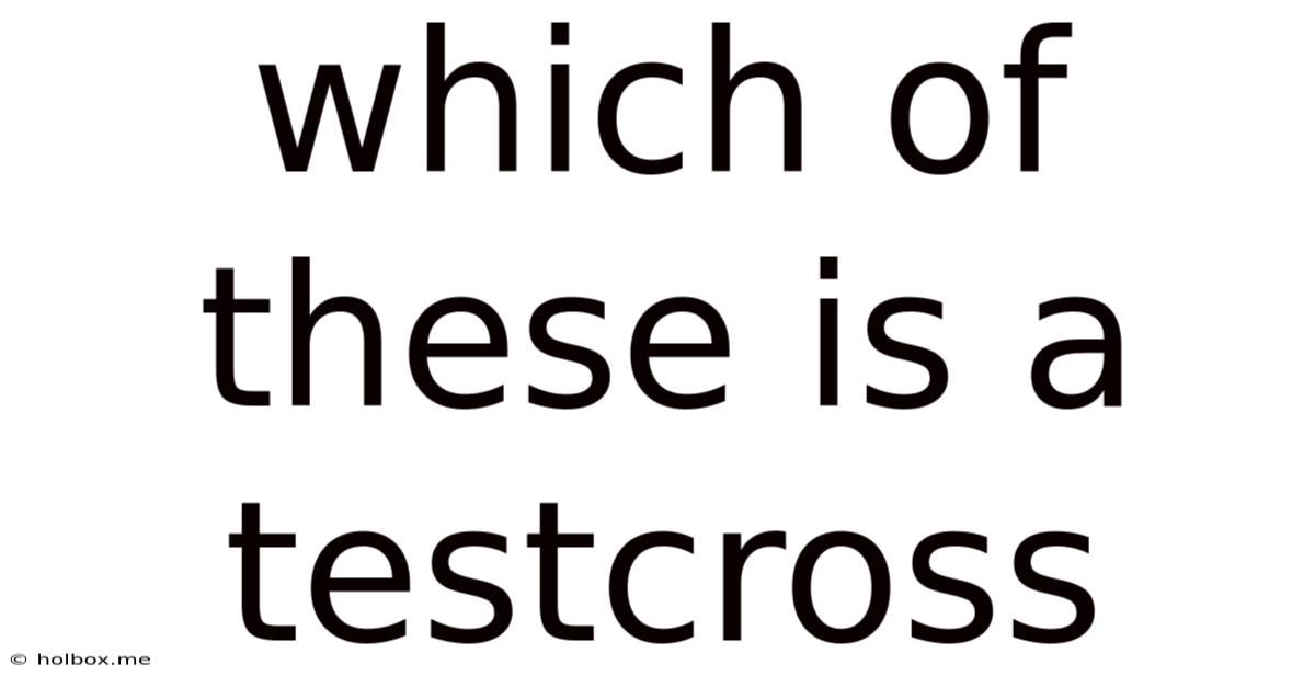 Which Of These Is A Testcross