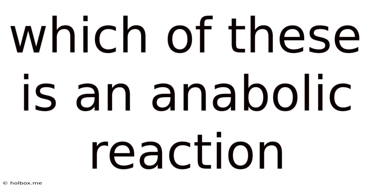 Which Of These Is An Anabolic Reaction