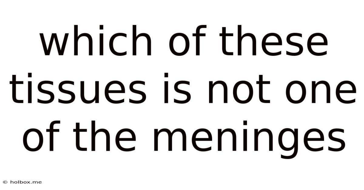 Which Of These Tissues Is Not One Of The Meninges