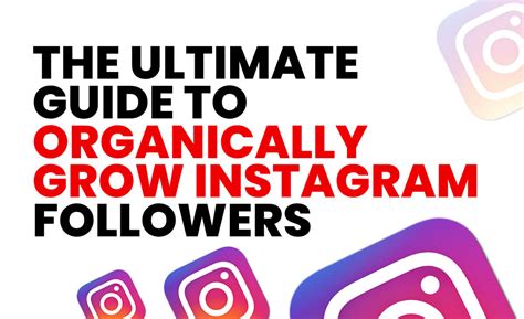 Which Of These Would Organically Grow A Client's Instagram Followers