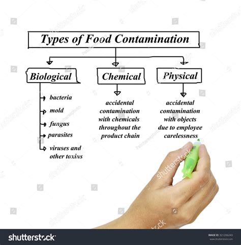 Which One Of The Following Food Contaminations Would Be Suspected