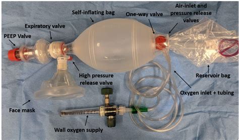 Which Statement About Bag Valve Mask Bvm Resuscitators Is True