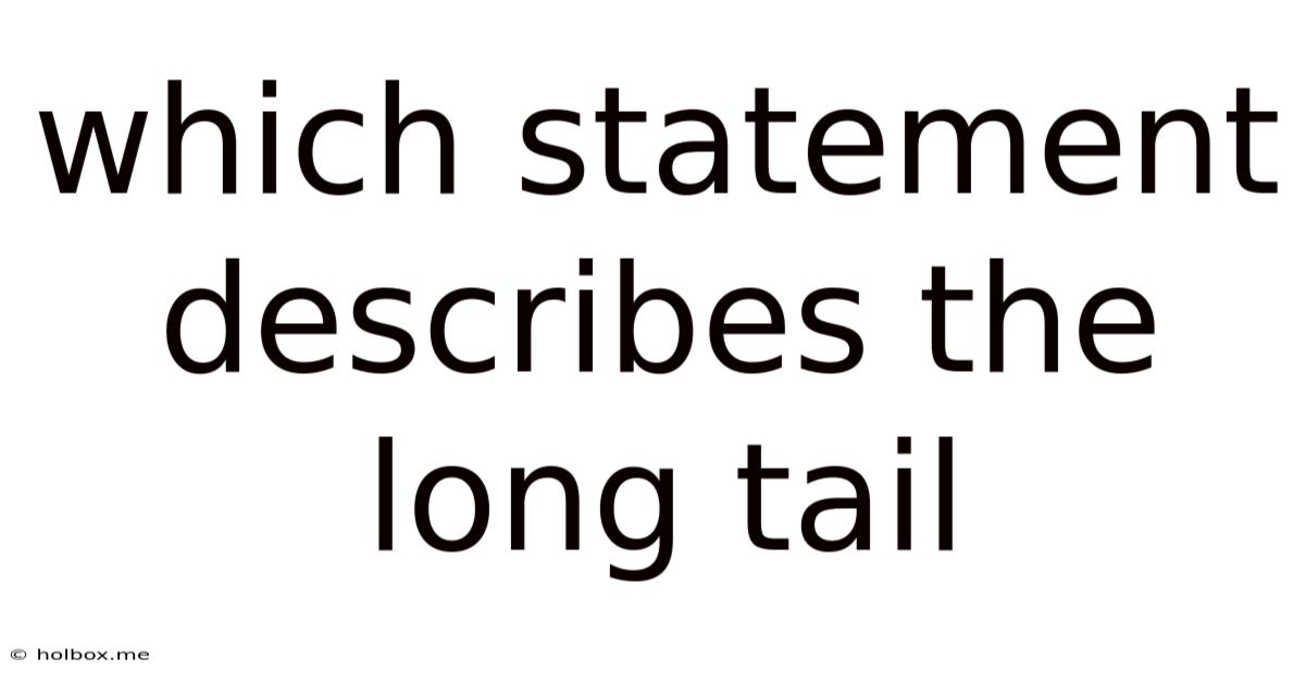 Which Statement Describes The Long Tail