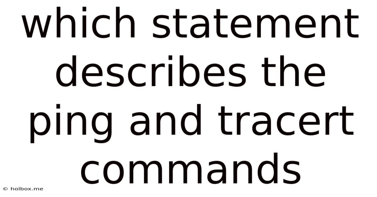 Which Statement Describes The Ping And Tracert Commands