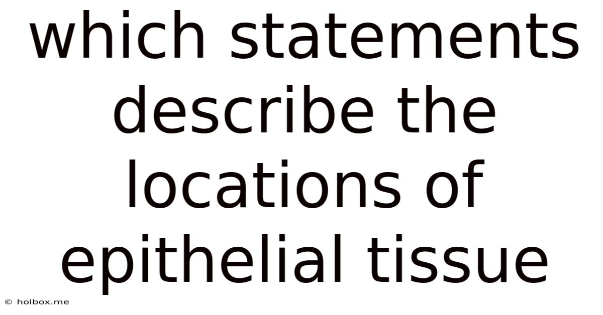 Which Statements Describe The Locations Of Epithelial Tissue