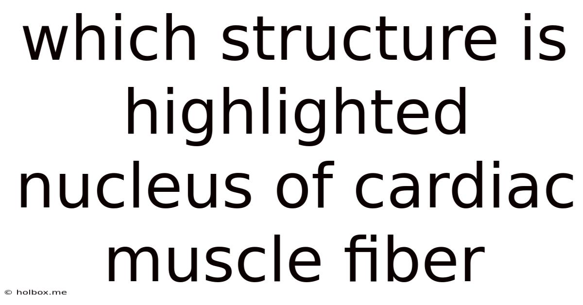 Which Structure Is Highlighted Nucleus Of Cardiac Muscle Fiber