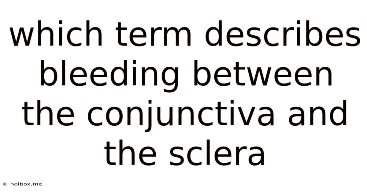 Which Term Describes Bleeding Between The Conjunctiva And The Sclera