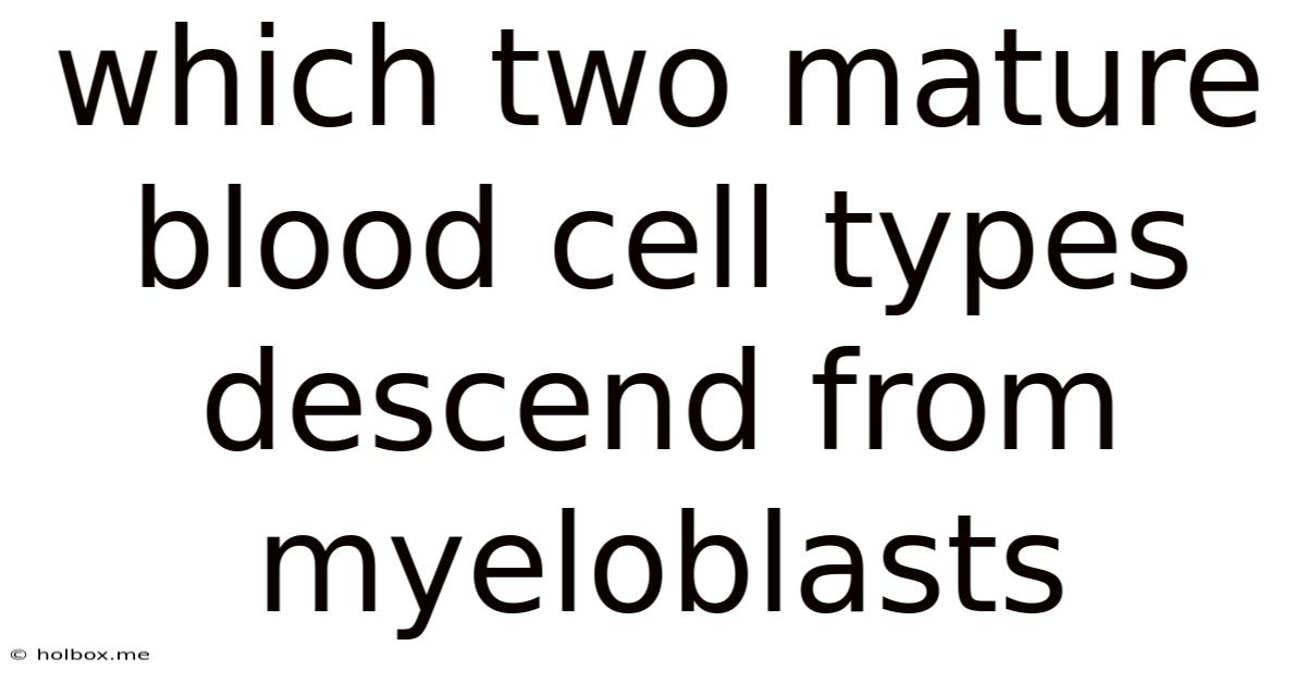 Which Two Mature Blood Cell Types Descend From Myeloblasts