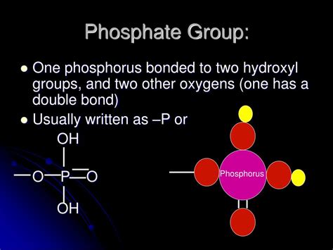 Which Type Of Molecule Never Contains A Phosphate Group