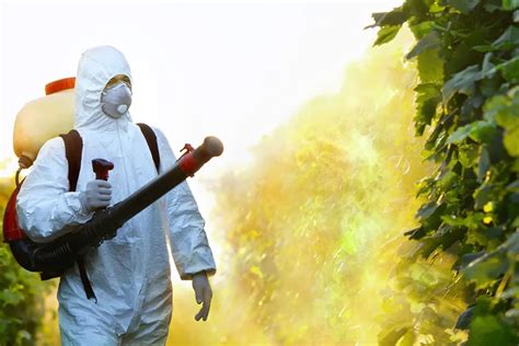 Who Can Apply Pesticides In A Food Service Establishment