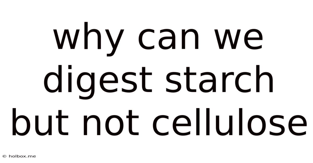 Why Can We Digest Starch But Not Cellulose