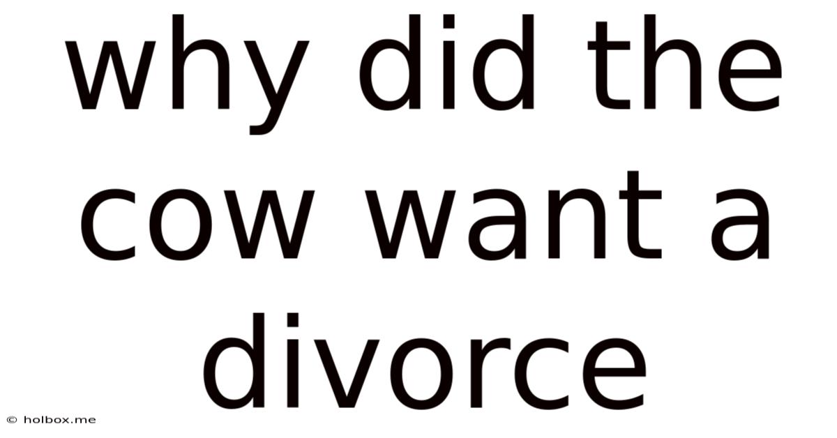 Why Did The Cow Want A Divorce