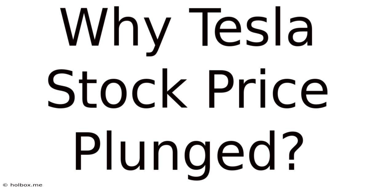 Why Tesla Stock Price Plunged?