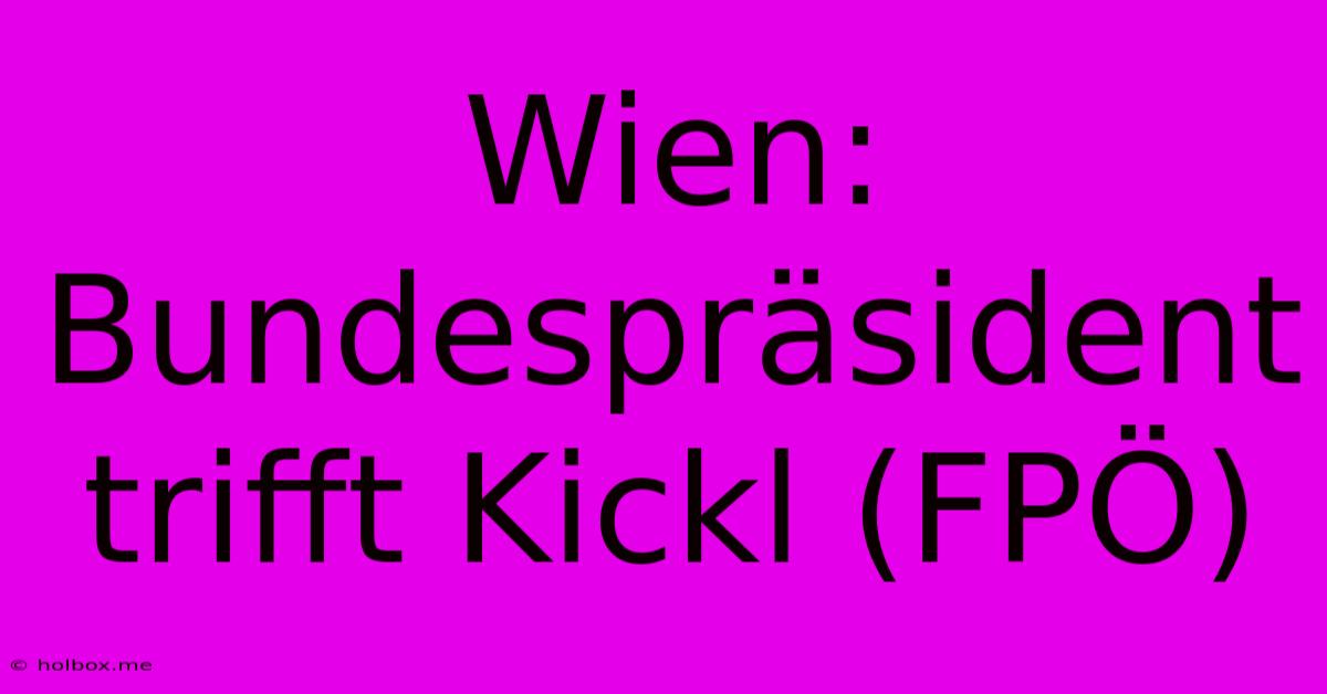 Wien: Bundespräsident Trifft Kickl (FPÖ)