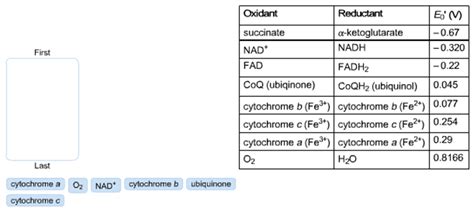 Without Using A Textbook Predict The Sequence Of Electron