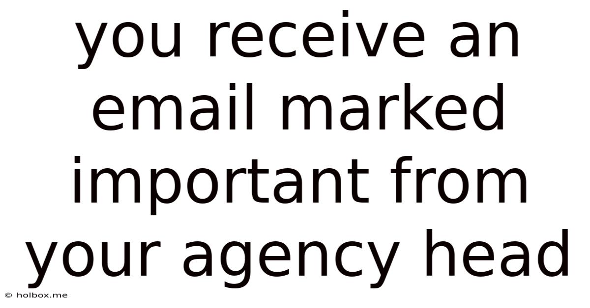 You Receive An Email Marked Important From Your Agency Head